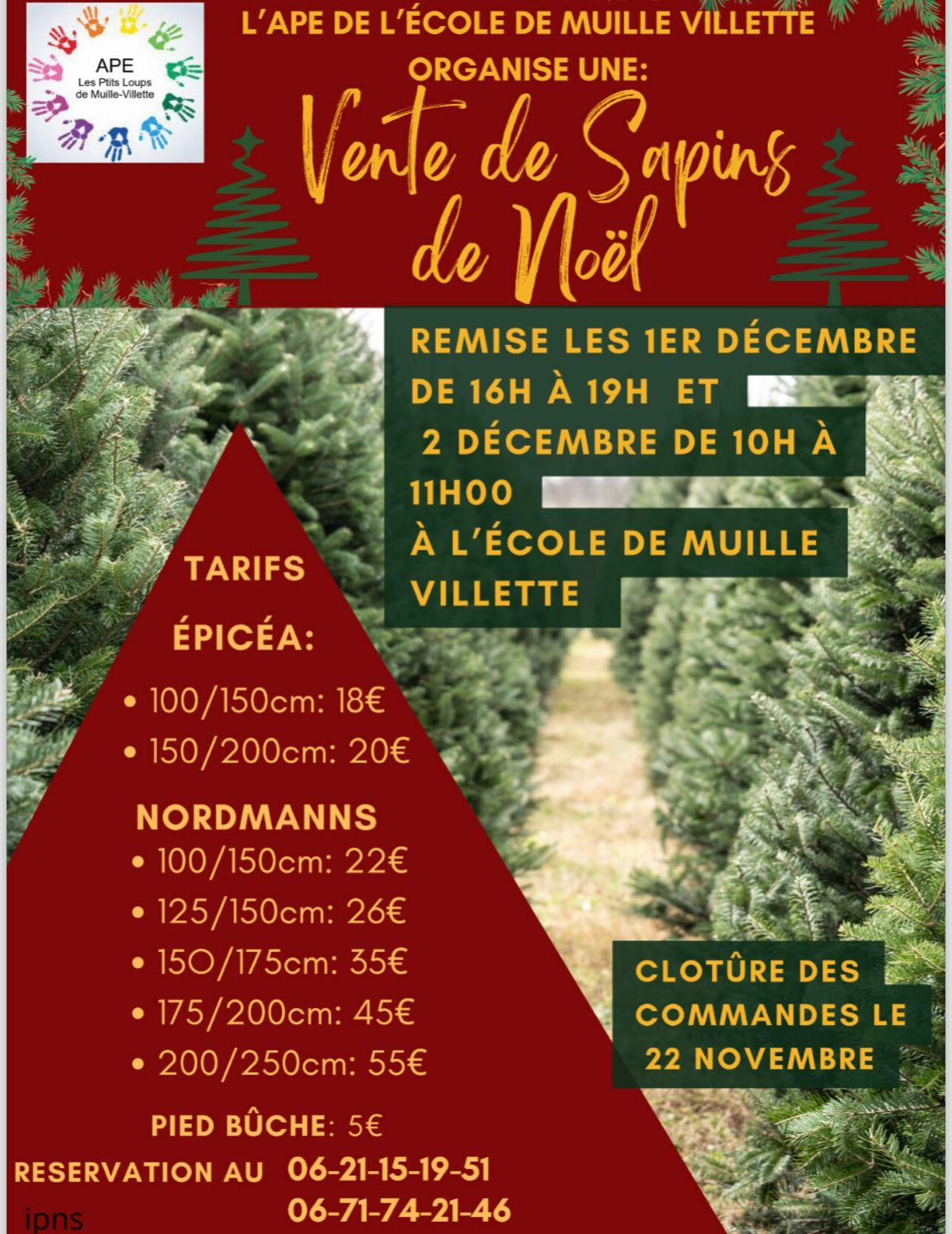 Vente arbre de noel